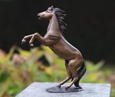 Tuinbeeld - bronzen beeld - Klein steigerend paardje - Bronzartes - 24 cm hoog