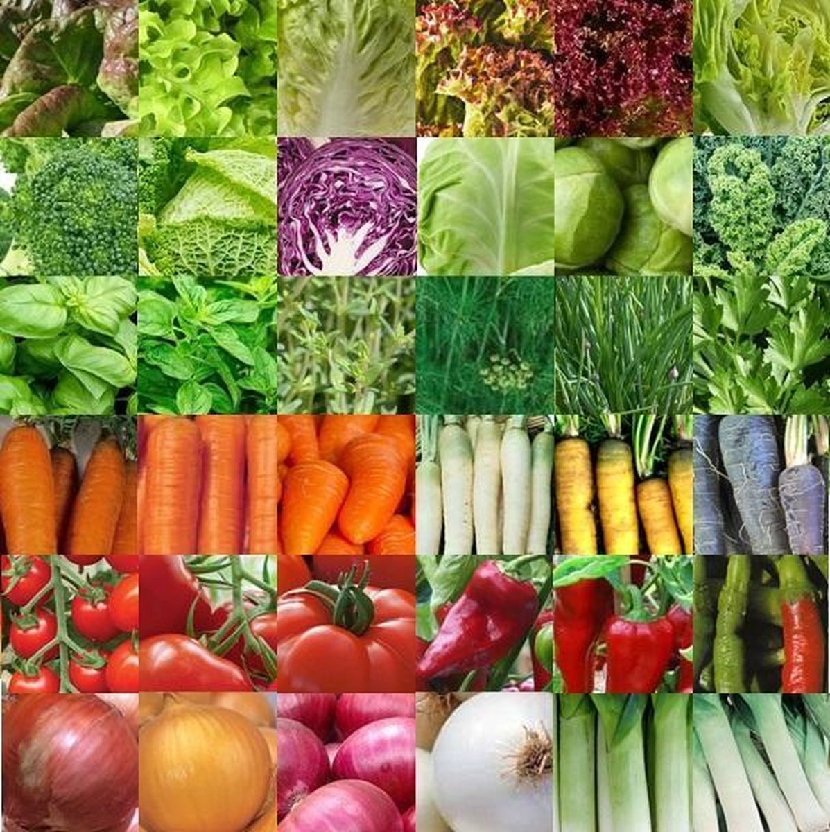 Groentezaden assortiment 36 soorten (sla, kolen, kruiden, wortels, tomaten, paprika, uien, prei) zaa