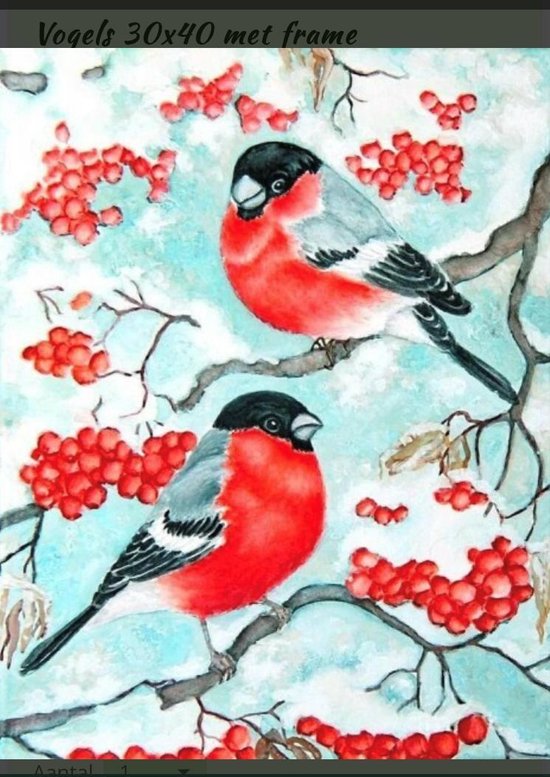 Figured'Art Schilderen op Nummer Volwassenen canvas Roodborstje in de winter