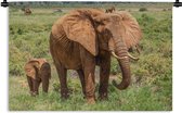 Wandkleed Baby olifant en moeder - Baby olifant met zijn moeder in het gras Wandkleed katoen 120x80 cm - Wandtapijt met foto