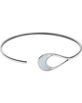 Skagen Dames Armband SKJ1364040