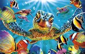 Schildpad in de Zee| Diamond Painting | 15x20cm | Complete Set | Inclusief Tools