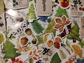 Planten Flora Natuur Sticker Pack - 50 Stickers - Laptop Stickers - Bullet Journal Stickers - Telefoon Stickers - Plants - Plant Love - Huisplanten - Wilde Planten - Rozen - Tulpen