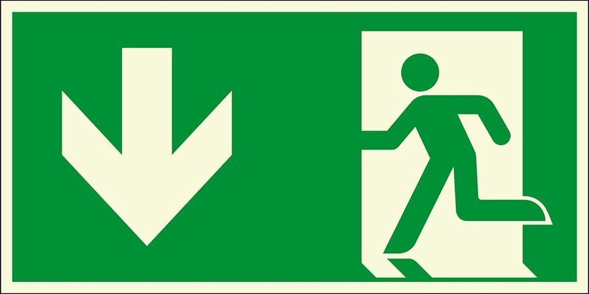 Lichtgevend nooduitgang bord pijl beneden - kunststof - E001 400 x 200 mm