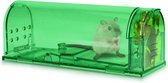 Diervriendelijke muizenvallen set van 4 - Houd muizen en kleine knaagdieren in leven - Eco-vriendelijk en huisdierveilig - Groen