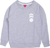 La V  jongens sweatshirt met logo op borst bedrukt lichtgrijs 152-158