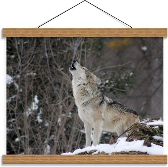 Schoolplaat – Huilende Wolf in de Sneeuw - 40x30cm Foto op Textielposter (Wanddecoratie op Schoolplaat)