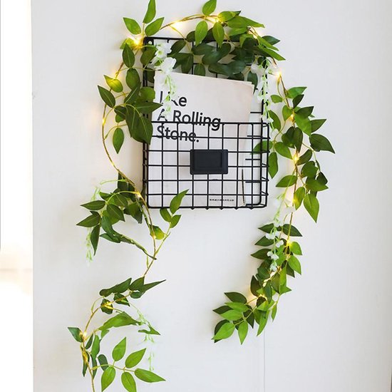 Glycine String Light Wit 2 mètres