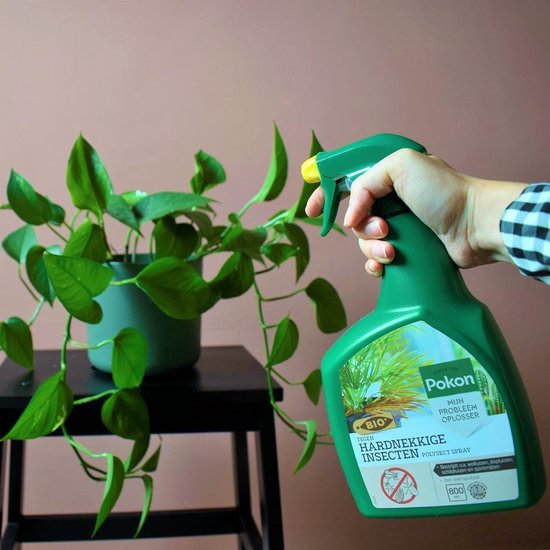 Pokon Bio tegen Hardnekkige Insecten Spray - 800ml - Kant-en-klaar - Zichtbaar effect binnen 24 uur - Bestrijdt o.a. wolluizen, dopluizen, schildluizen en spintmijten - Pokon