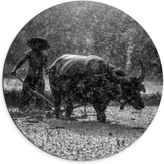 Dibond Wandcirkel - Man met Stier in Regen Zwart - Wit - 70x70cm Foto op Aluminium Wandcirkel (met ophangsysteem)