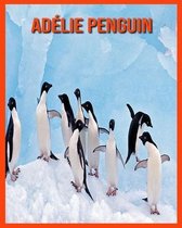 Adelie Penguin
