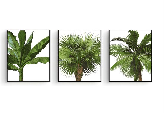 Poster Set 3 - Tropische Bomen Palmboom Bananenboom Kokosnootboom - Muurdecoratie - 70x50cm - Postercity