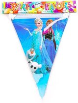 ProductGoods - Frozen slinger - Frozen vlaggenlijn versiering 2,3 meter - Feestdecoratie - 10 vlaggen - Kinderfeestje Decoratie - Frozen