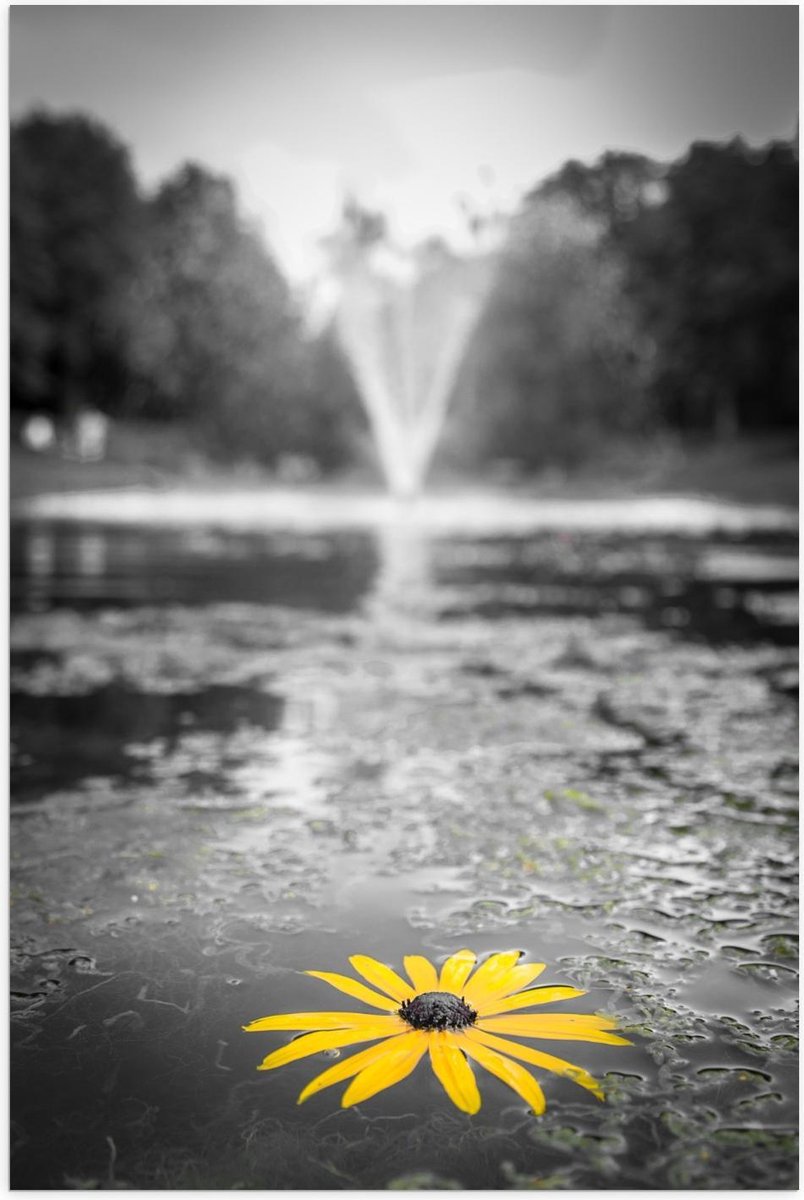 Poster – Gele Bloem in het Water bij Fontein - 40x60cm Foto op Posterpapier