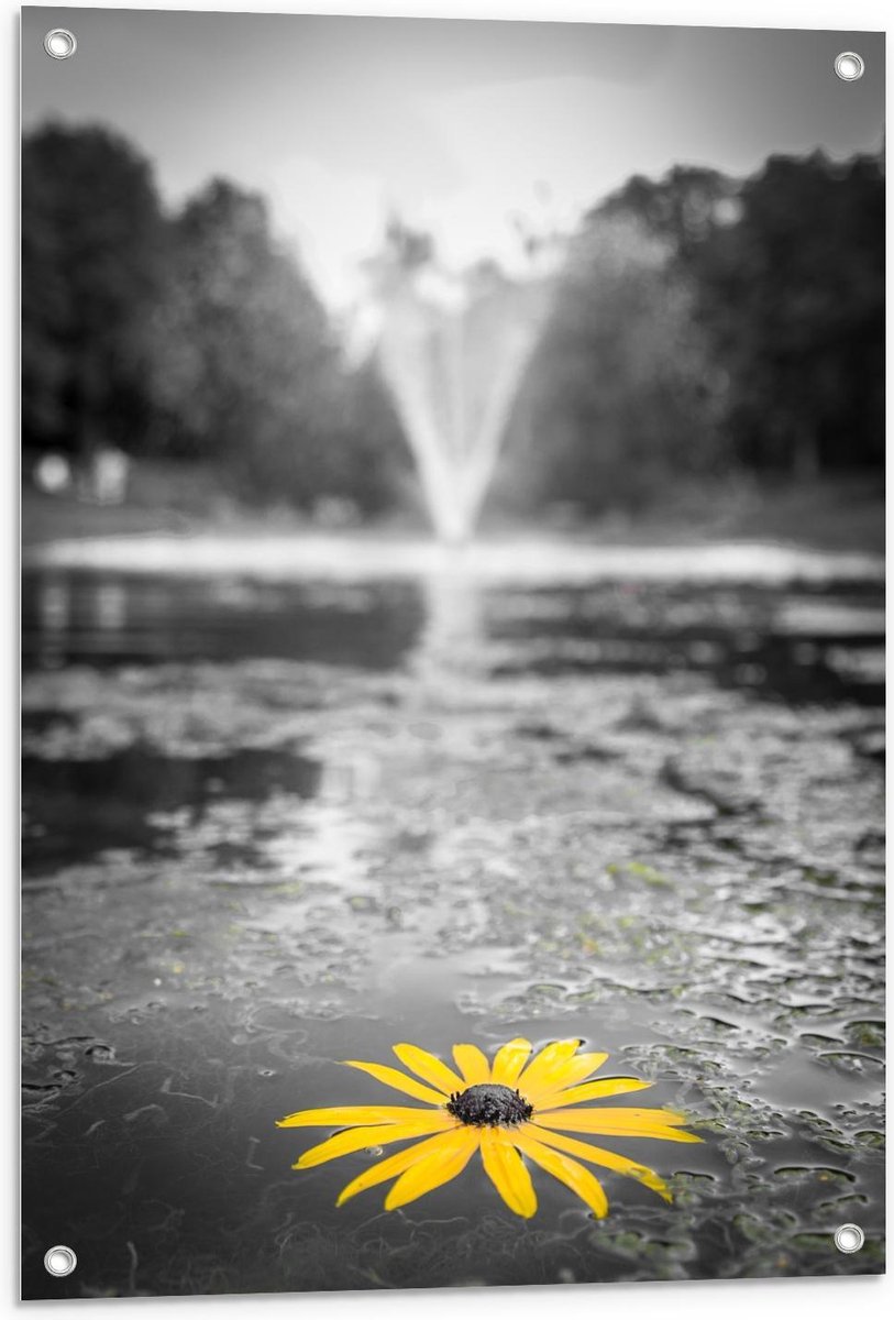 Tuinposter – Gele Bloem in het Water bij Fontein - 60x90cm Foto op Tuinposter (wanddecorat