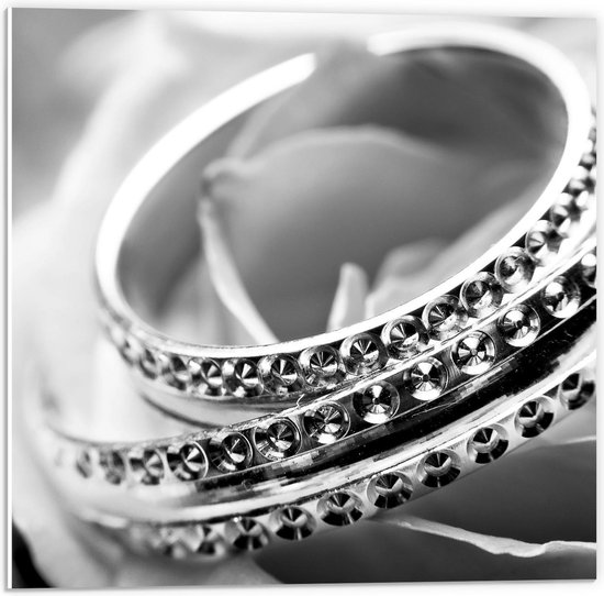 Forex - Zwart/Wit Ringen met Diamantjes - 50x50cm Foto op Forex
