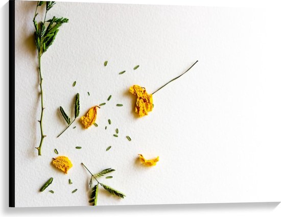 Canvas - Gedroogde Bloemen en Bladeren - Foto op Canvas Schilderij (Wanddecoratie op Canvas)