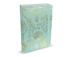 Peter Pauper Mid Size notitieboek - Sealife Sketches - met elastieksluiting - 16x21 cm