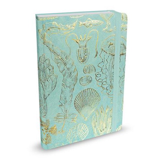 Peter Pauper Notitieboek - Sealife Sketches (mid-size)