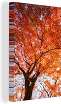 Érable japonais avec des feuilles orange 90x140 cm - impression photo sur toile peinture (Décoration murale salon / chambre à coucher) / Arbres Peintures Toile