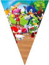 ProductGoods - Sonic slinger - Sonic vlaggenlijn versiering 2,3 meter - Feestdecoratie - 10 vlaggen - Kinderfeestje Decoratie - Sonic