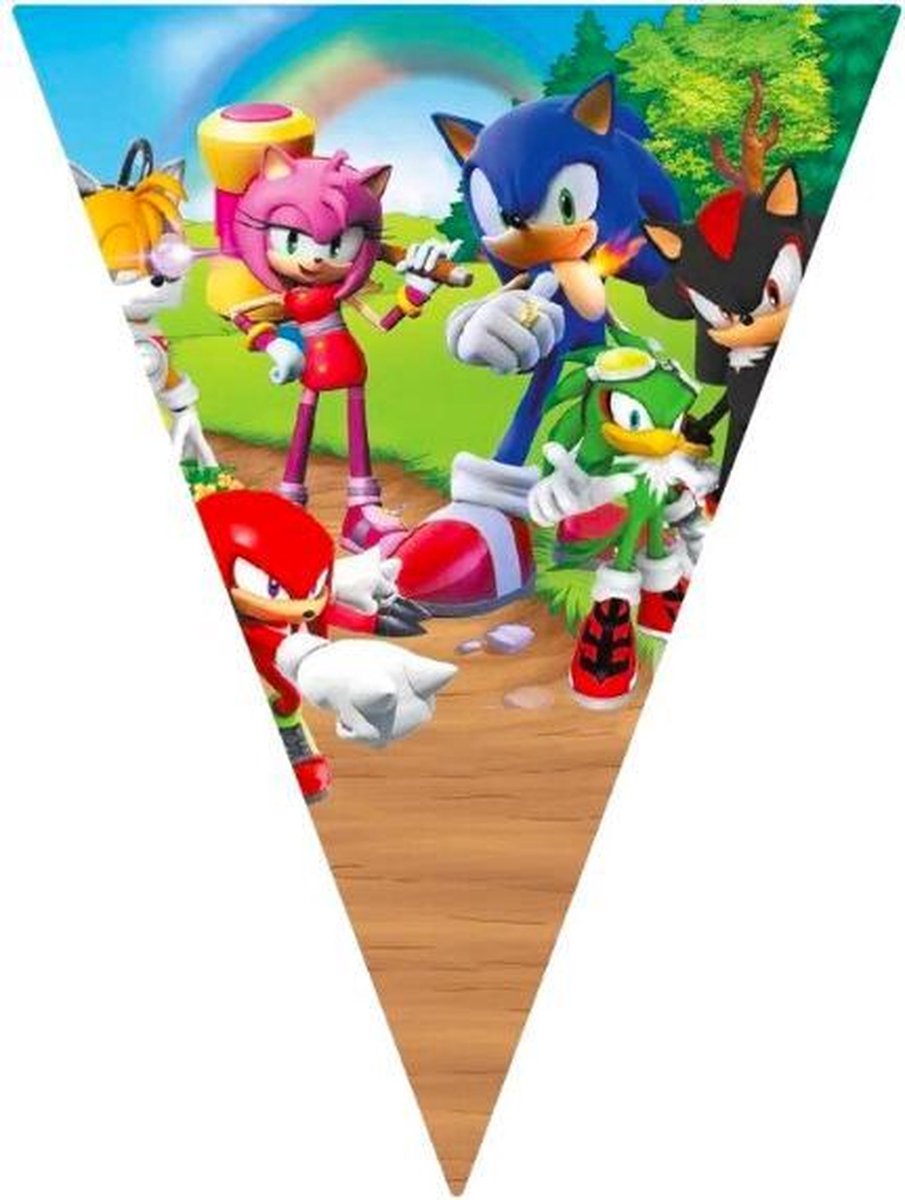 ProductGoods - Sonic slinger - Sonic vlaggenlijn versiering 2,3 meter - Feestdecoratie - 10 vlaggen - Kinderfeestje Decoratie - Sonic