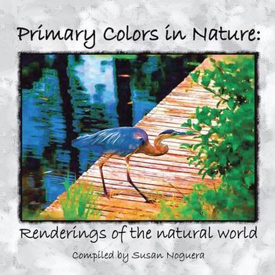 Primary Colors in Nature, Susan Noguera 9781425741310 Livres
