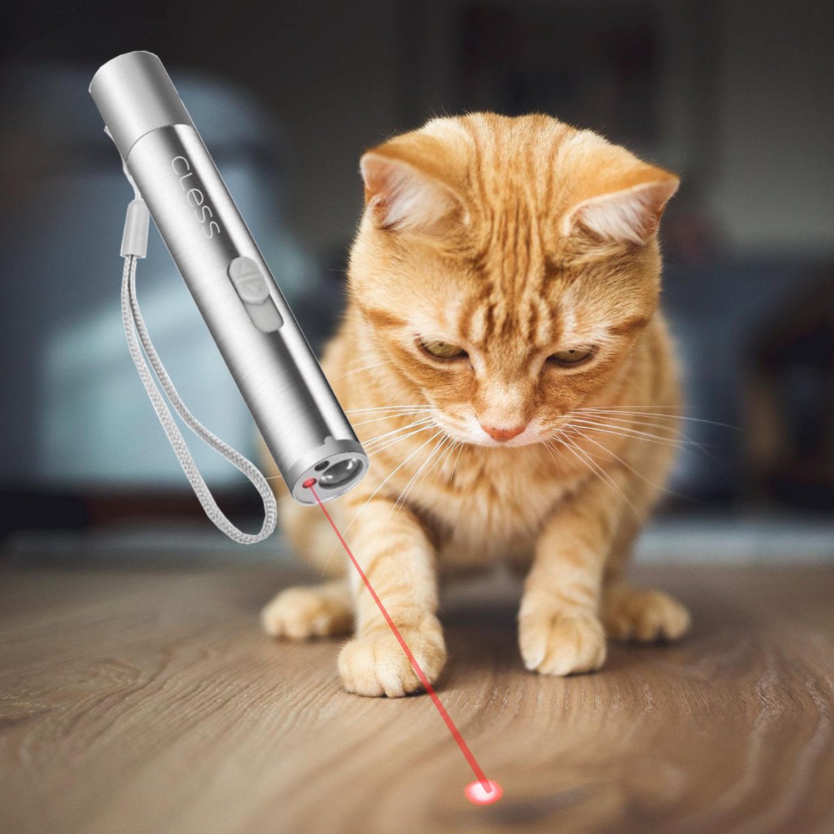 pour chat Stylo lumineux pour pointeur de chaton Jouet laser à LED pour chat