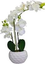 Orchidee CORINA - Wit - l 10 x b 20 x h 75 cm - Kunstbloem