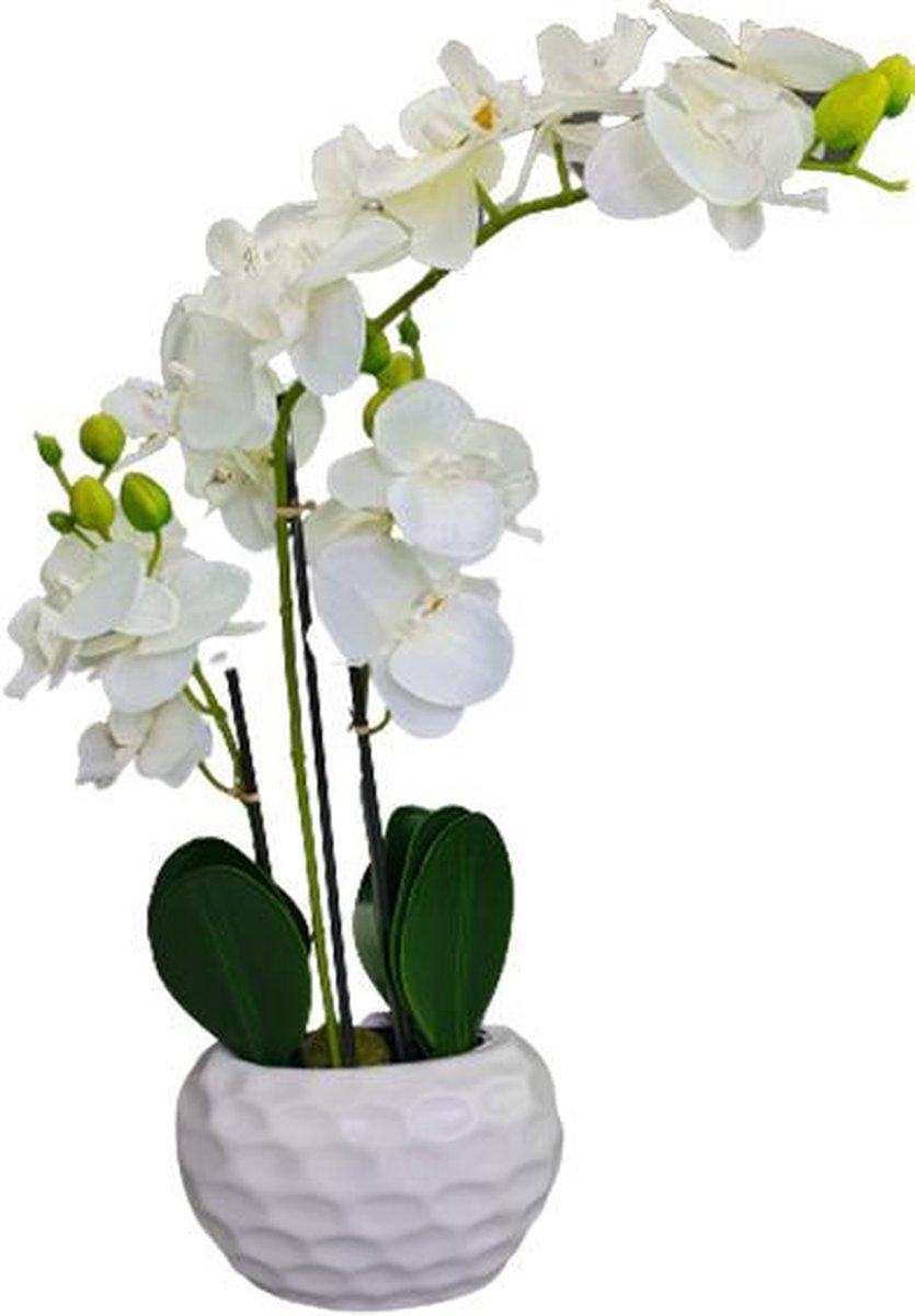 Flair Flower Fleur Artificielle Papillon Orchidée Dans Un Bol Orchidée  Artificielle Phalaenopsis Avec Pot Décoration De Mariage Arrangements |  freixenet.com