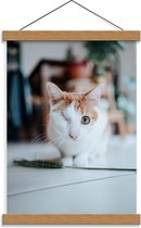Schoolplaat – Eenogige Kat - 30x40cm Foto op Textielposter (Wanddecoratie op Schoolplaat)