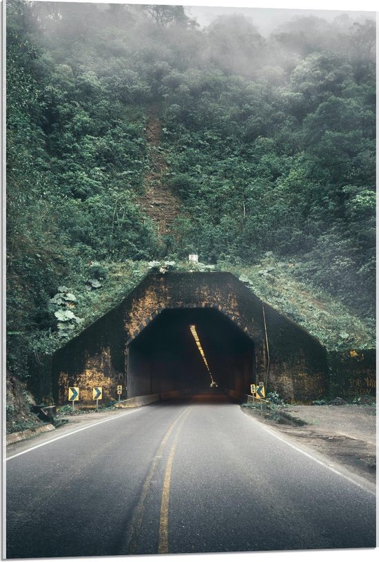 Acrylglas - Tunnel onder Berg door - 60x90cm Foto op Acrylglas (Wanddecoratie op Acrylglas)