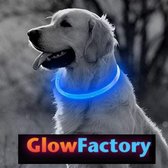 Blauwe LED Halsband voor honden Medium / Blauw verlichte halsband / Lichtgevende Halsband Hond / Diverse formaten beschikbaar! Oplaadbaar via USB / USB Halsband LED