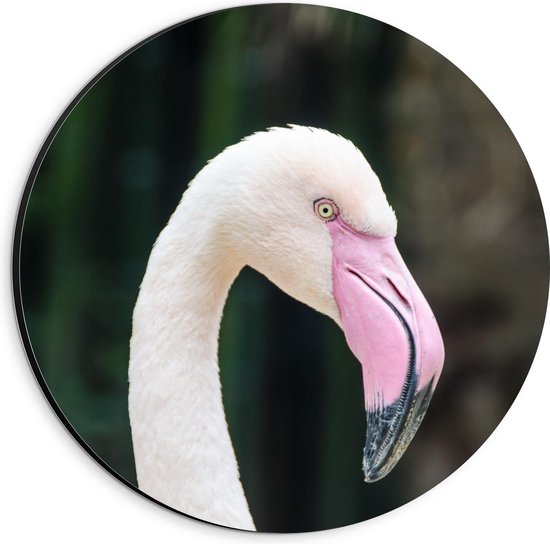 Dibond Wandcirkel - Kop Roze Flamingo - 20x20cm Foto op Aluminium Wandcirkel (met ophangsysteem)