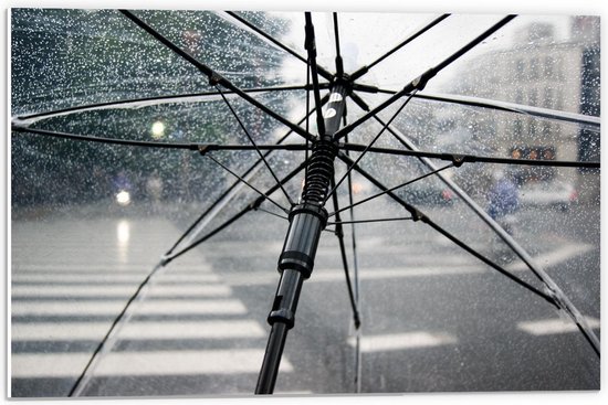 Forex - Doorzichtige Paraplu in de Regen - 60x40cm Foto op Forex