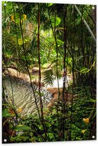 Tuinposter – Tropische Planten Naast een Rivier - 80x120cm Foto op Tuinposter  (wanddecoratie voor buiten en binnen)