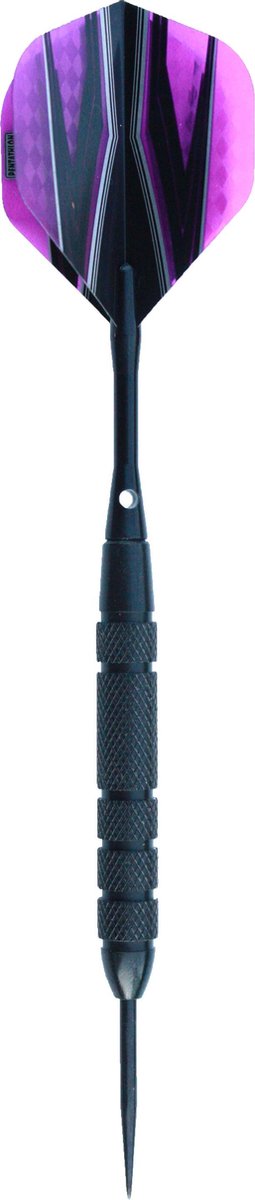 ABC Darts - Pentathlon Steeltip Zwarte Dartpijlen Raven - 21 gram van ABC Darts — afbeelding 2