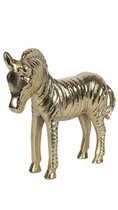 Countryfield - Zebra -  Lando M  - gold - L21B7H19CM