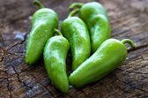 Jalapeno Zaden / Sambal / Pittig / BBQ / Food / Foodie / Rub /