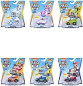 Paw Patrol Die-Cast Voertuig met Pup Assorti