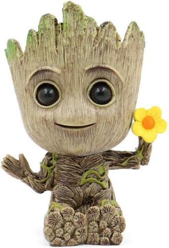 Foto: Grootted planter pot baby bloempot met bloem in hand