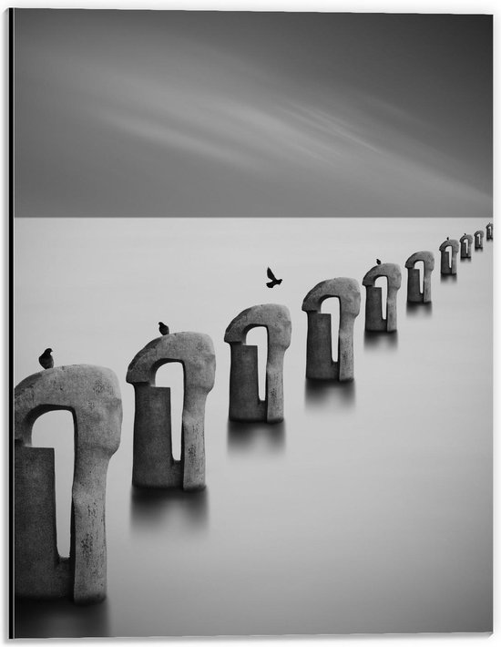 Dibond - Vogels op Betonnen Palen ( Zwart Wit ) - 30x40cm Foto op Aluminium (Wanddecoratie van metaal)