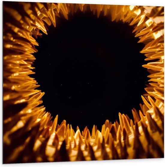 Dibond - Gouden Pinnen - 100x100cm Foto op Aluminium (Wanddecoratie van metaal)
