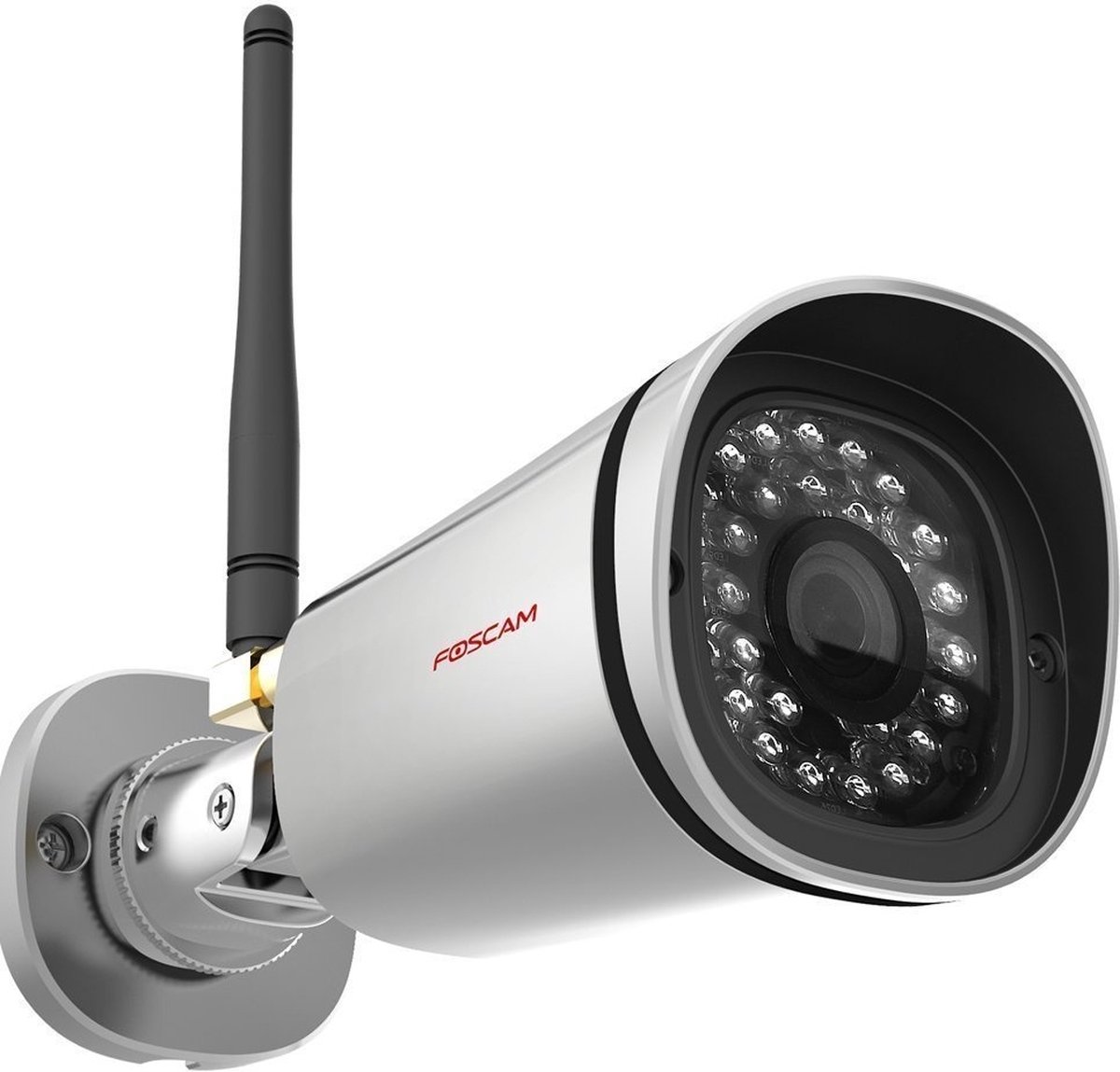 Foscam FI9900P - Outdoor IP-camera - Grijs