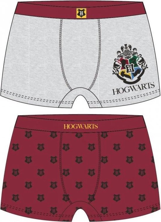 Warner Bros Harry Potter - Sous-vêtements - Boxers - Multi