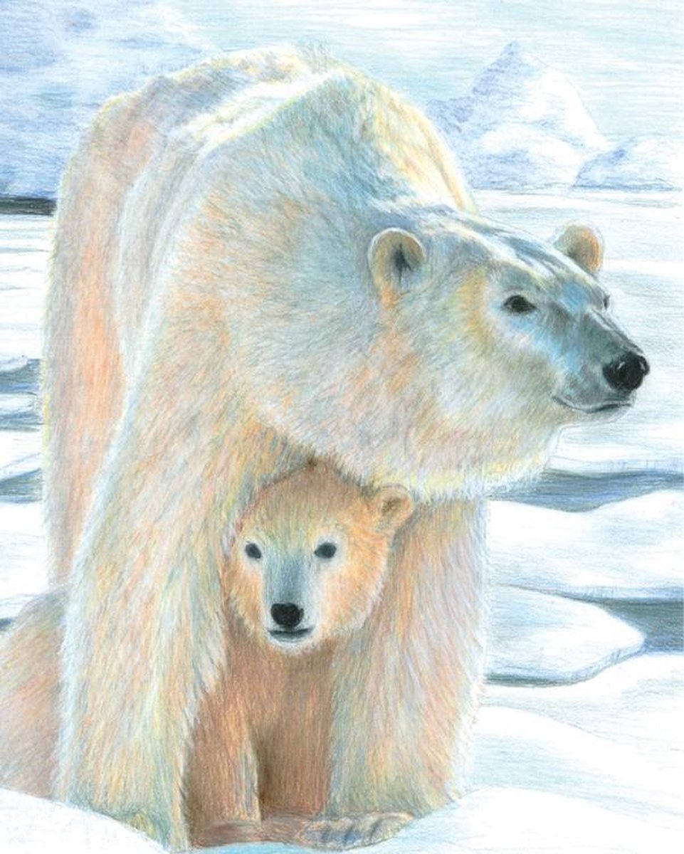 Kleuren op nummer - Kleuren op nummer voor volwassenen - Moeder met baby ijsbeer 22.23x29.85cm