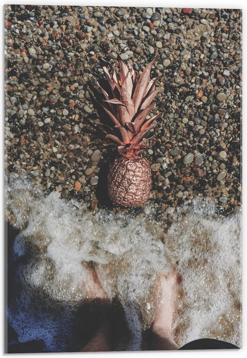 Acrylglas - Gouden Ananas Spoelt aan - 40x60cm Foto op Acrylglas (Met Ophangsysteem)