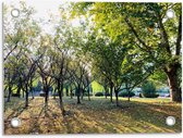 Tuinposter – Bomen - 40x30cm Foto op Tuinposter  (wanddecoratie voor buiten en binnen)