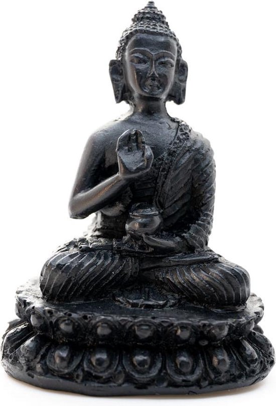 Verplicht Arabische Sarabo landen Boeddha Steen – Zwarte afwerking – Teaching (10 cm) | bol.com