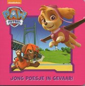 Paw Patrol Skye - Jong poesje in gevaar! - Nickelodeon - karton boek